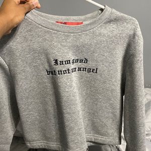 Grey Sweater/Hoodie